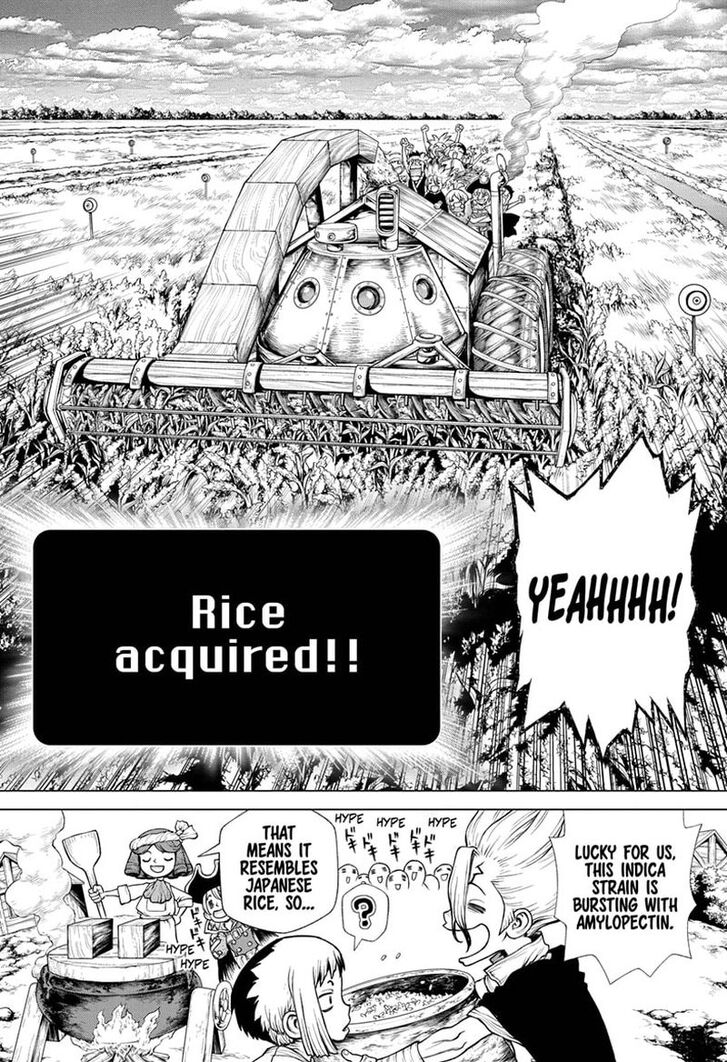 Read Dr. Stone Manga Online