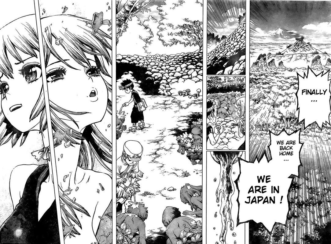 Read Dr. Stone Manga Online