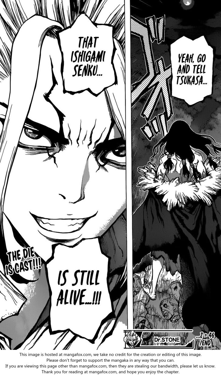 Read Dr. Stone Manga Online