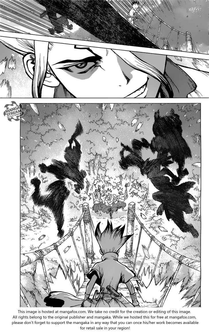 Read Dr. Stone Manga Online