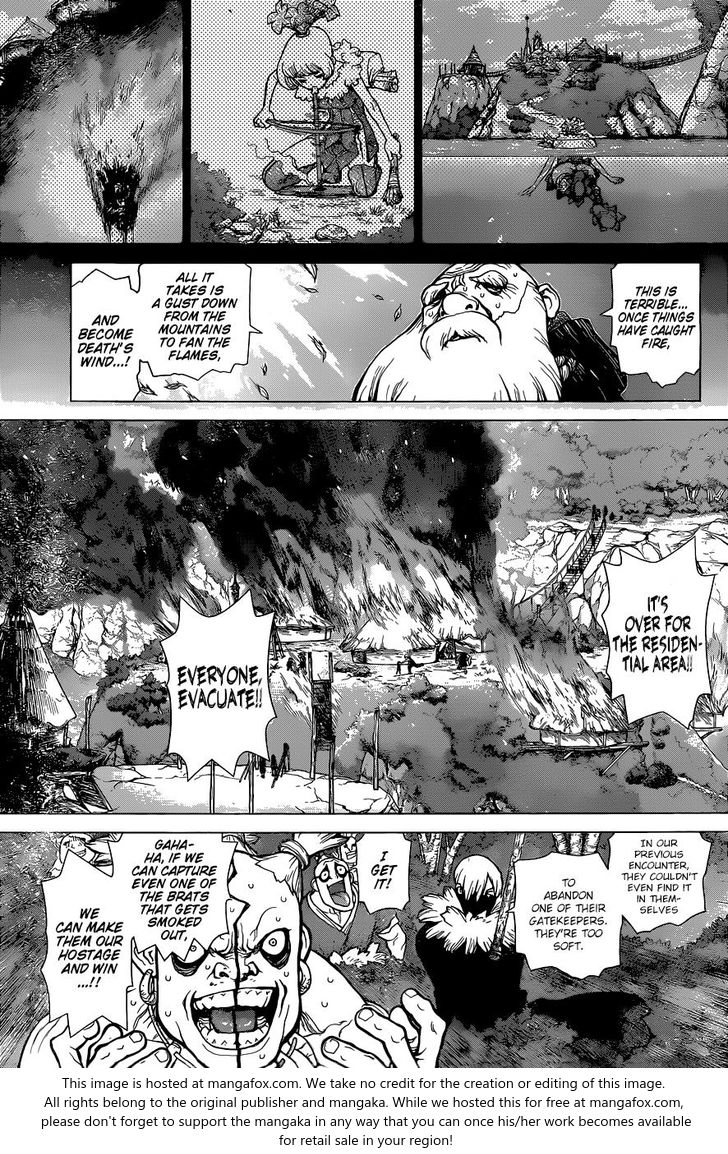 Read Dr. Stone Manga Online