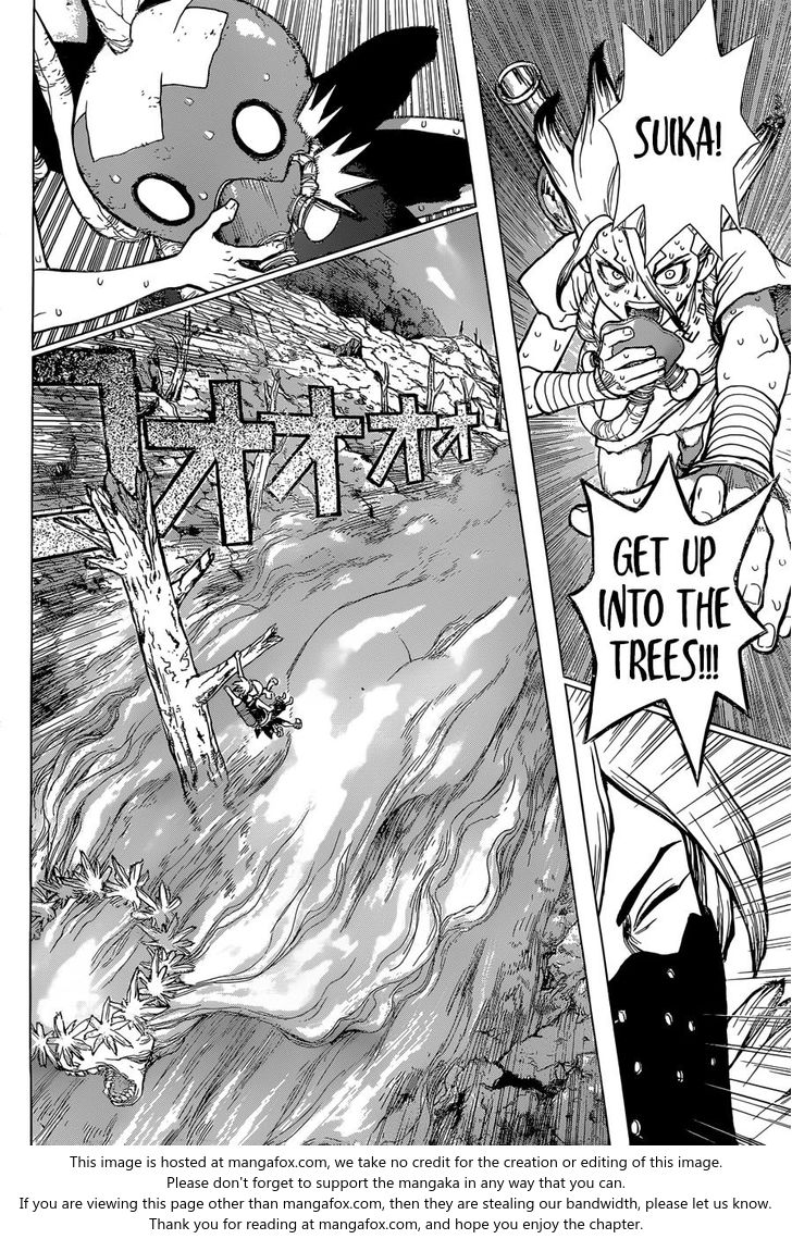 Read Dr. Stone Manga Online