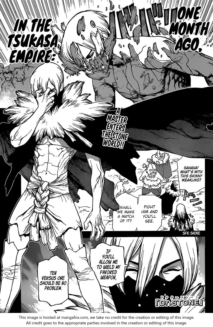 Read Dr. Stone Manga Online
