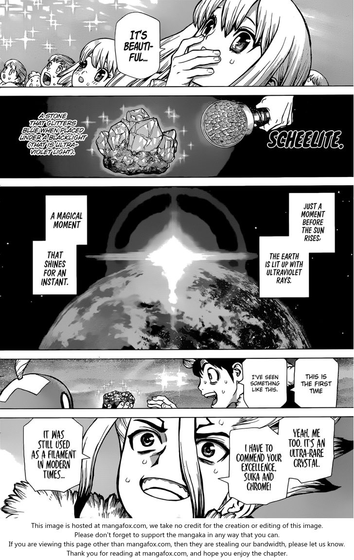 Read Dr. Stone Manga Online