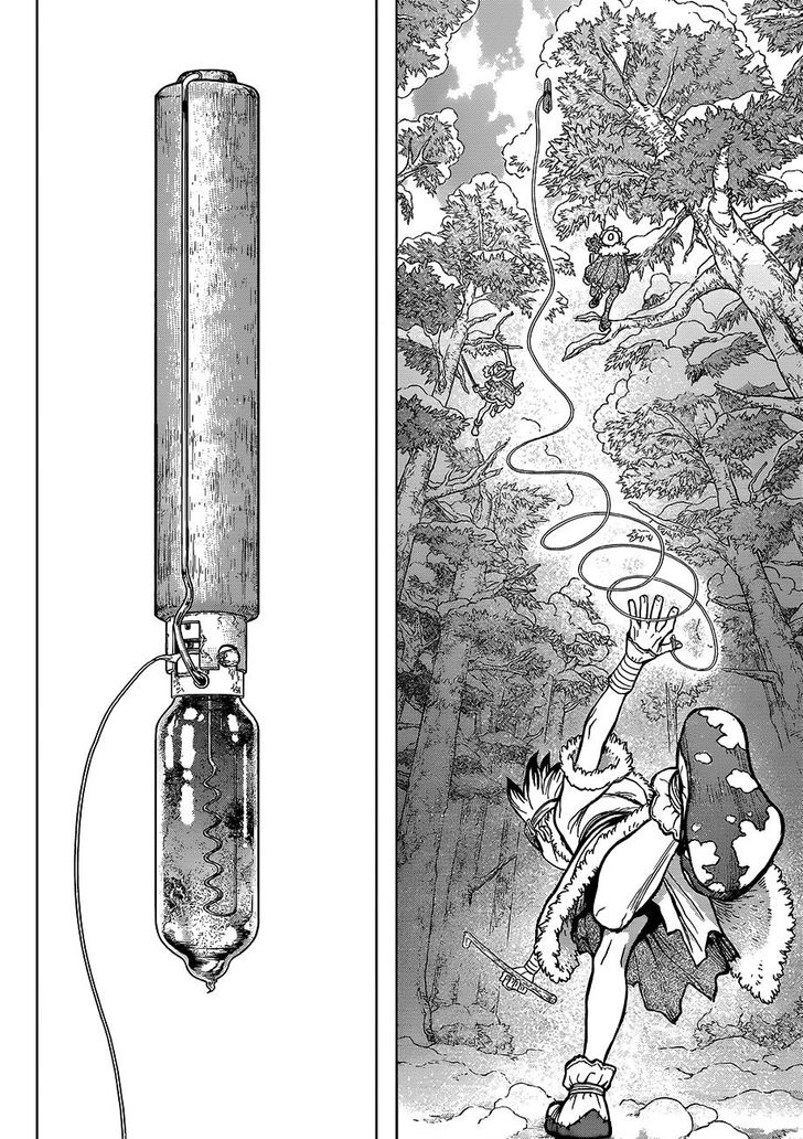 Read Dr. Stone Manga Online