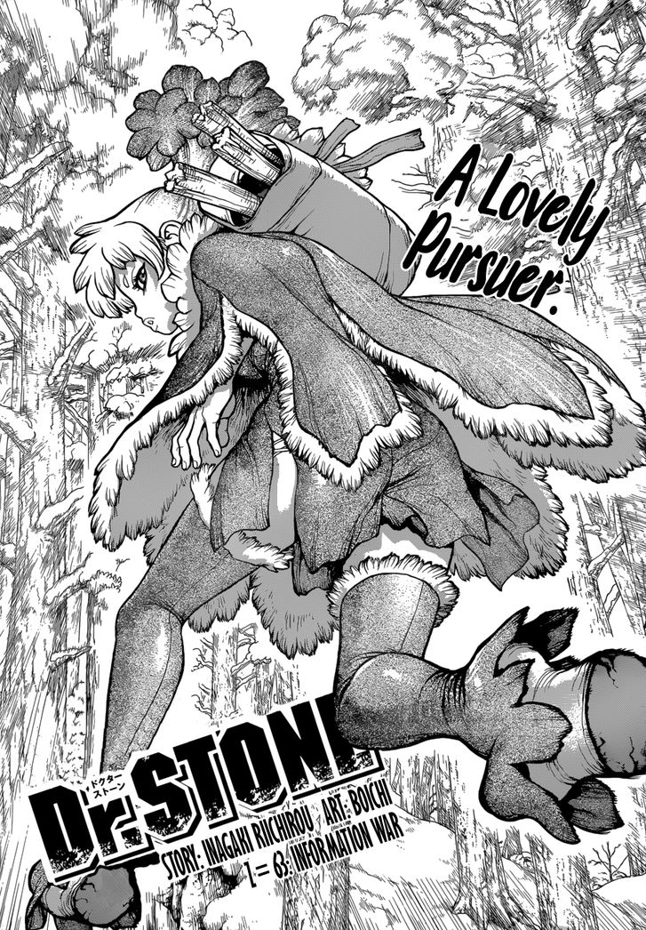 Read Dr. Stone Manga Online