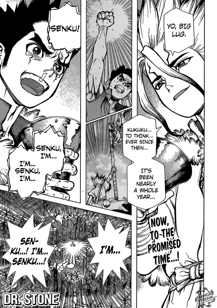 Read Dr. Stone Manga Online