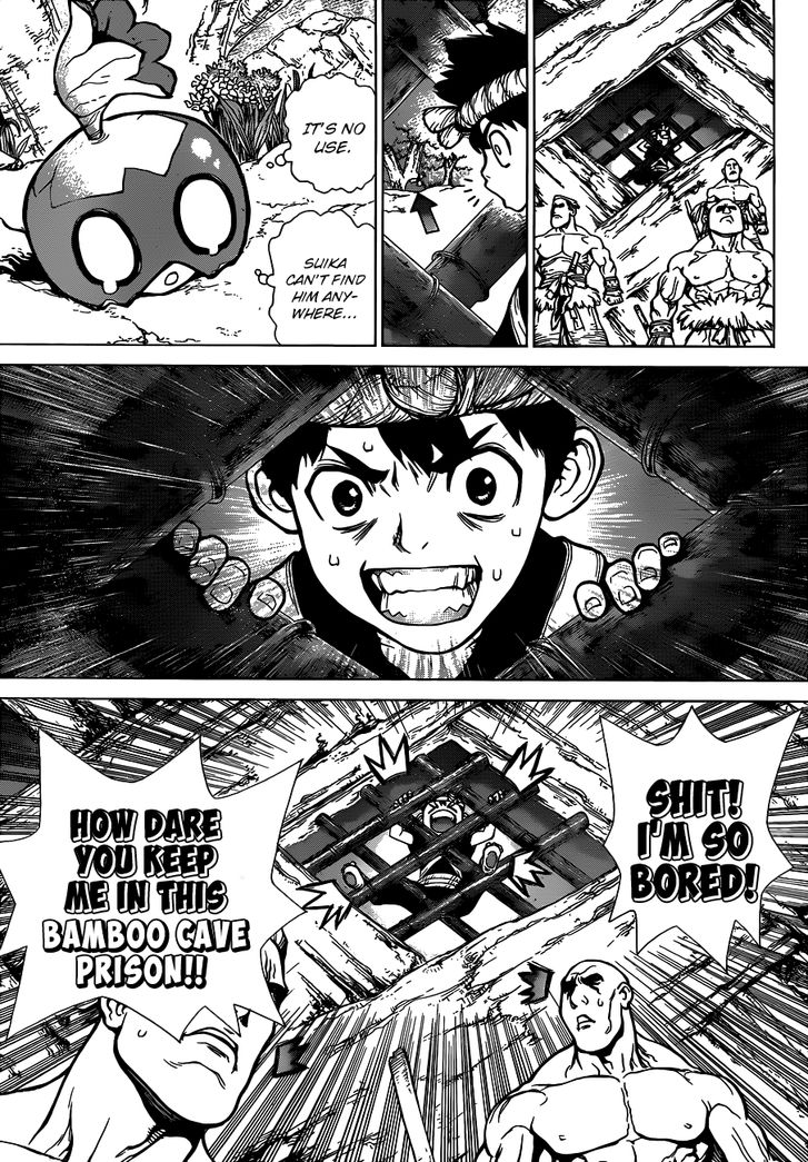 Read Dr. Stone Manga Online
