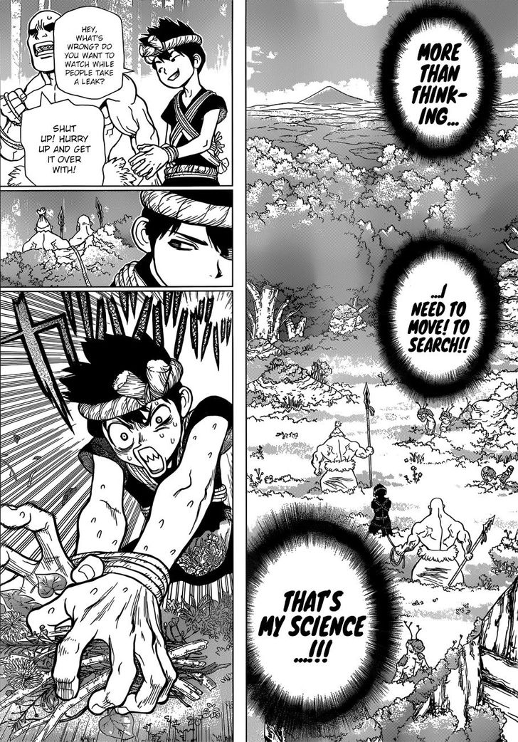Read Dr. Stone Manga Online