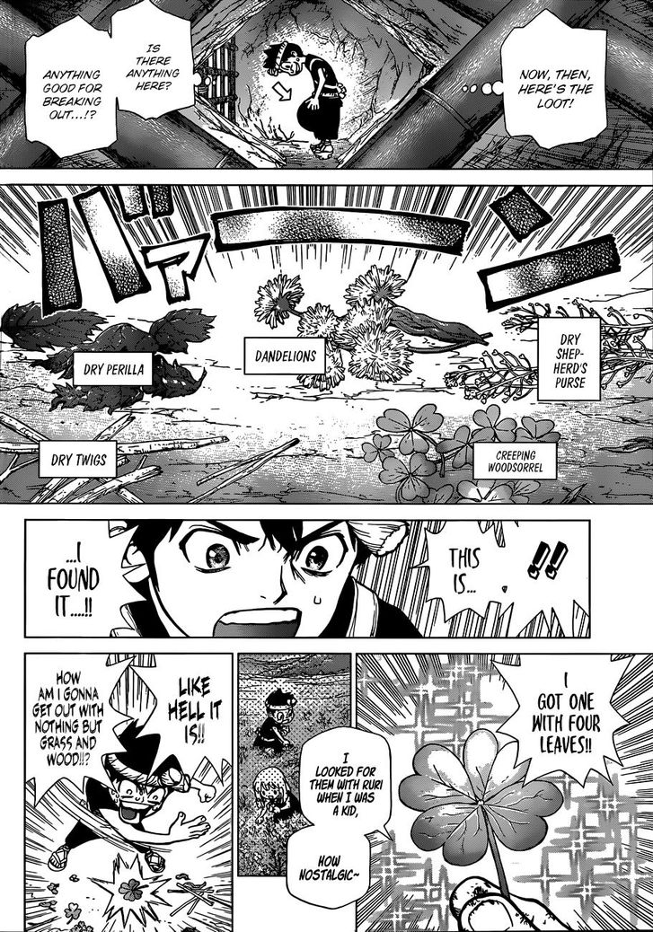 Read Dr. Stone Manga Online