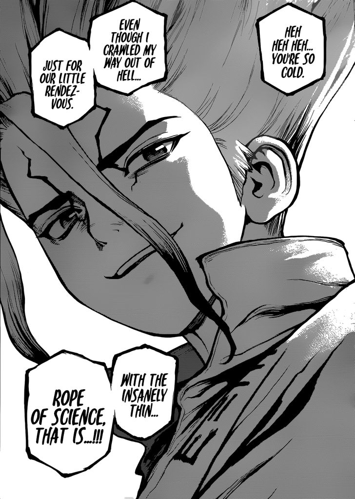 Read Dr. Stone Manga Online