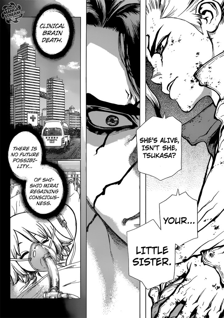 Read Dr. Stone Manga Online