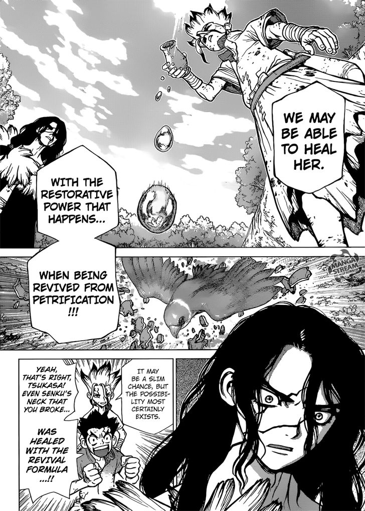 Read Dr. Stone Manga Online