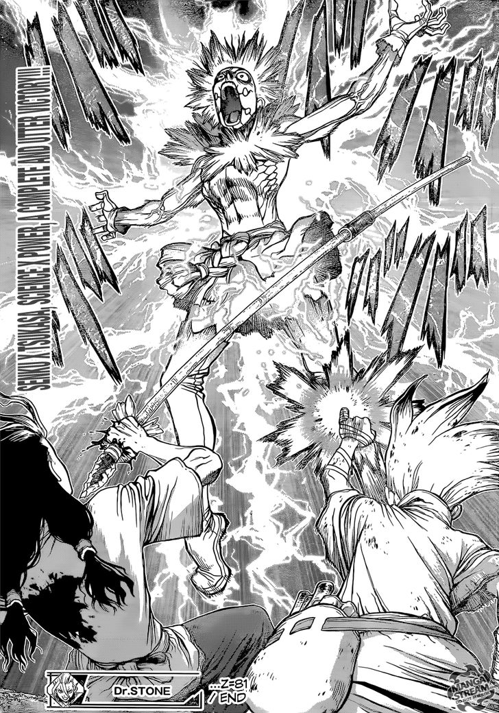 Read Dr. Stone Manga Online