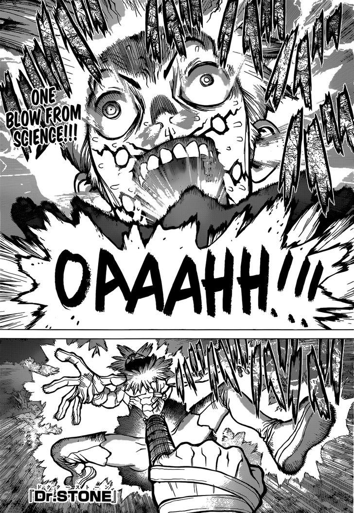 Read Dr. Stone Manga Online