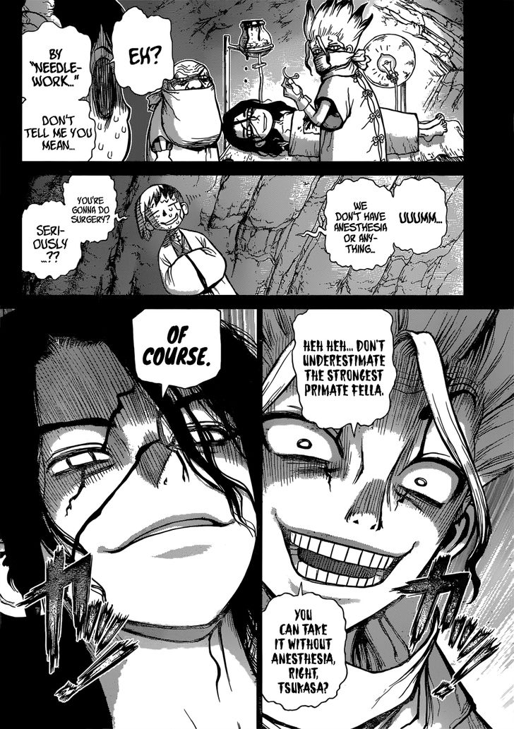 Read Dr. Stone Manga Online