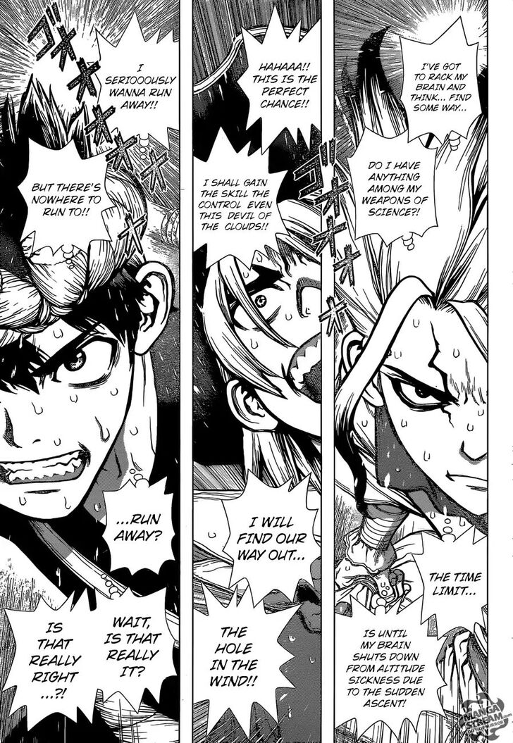 Read Dr. Stone Manga Online