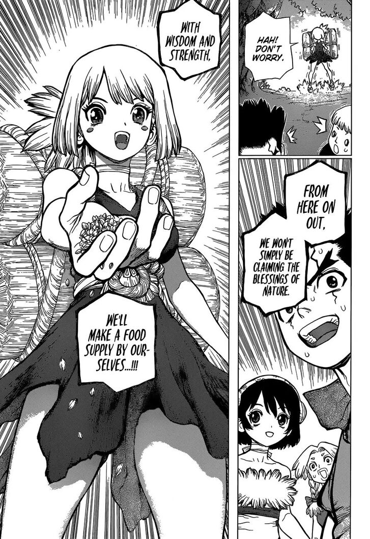 Read Dr. Stone Manga Online
