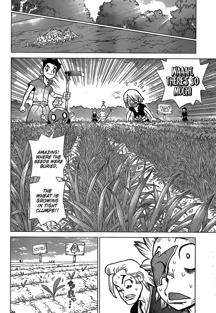 Read Dr. Stone Manga Online