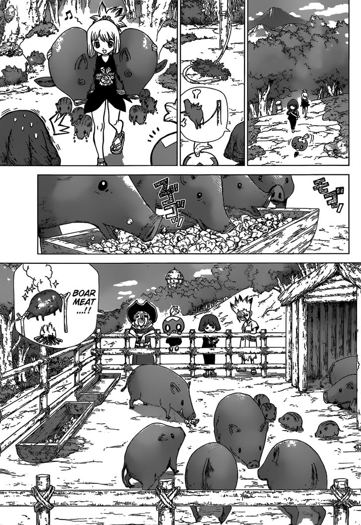 Read Dr. Stone Manga Online