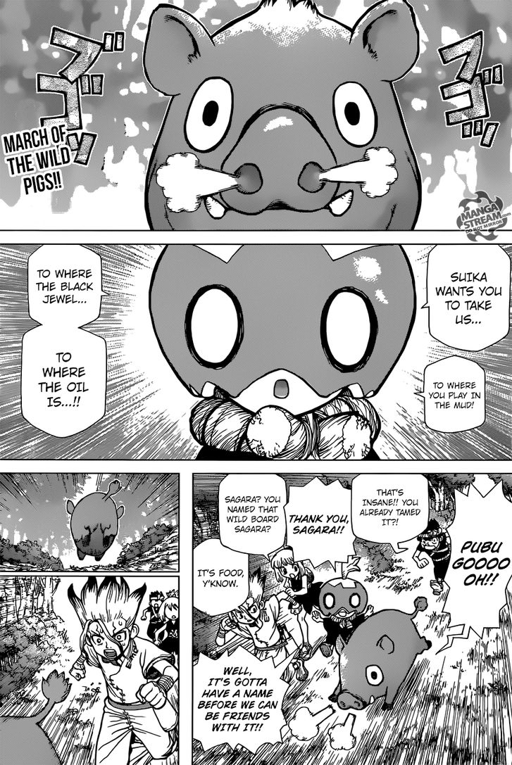 Read Dr. Stone Manga Online