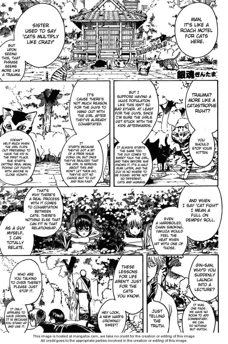 Read Gintama Manga Online
