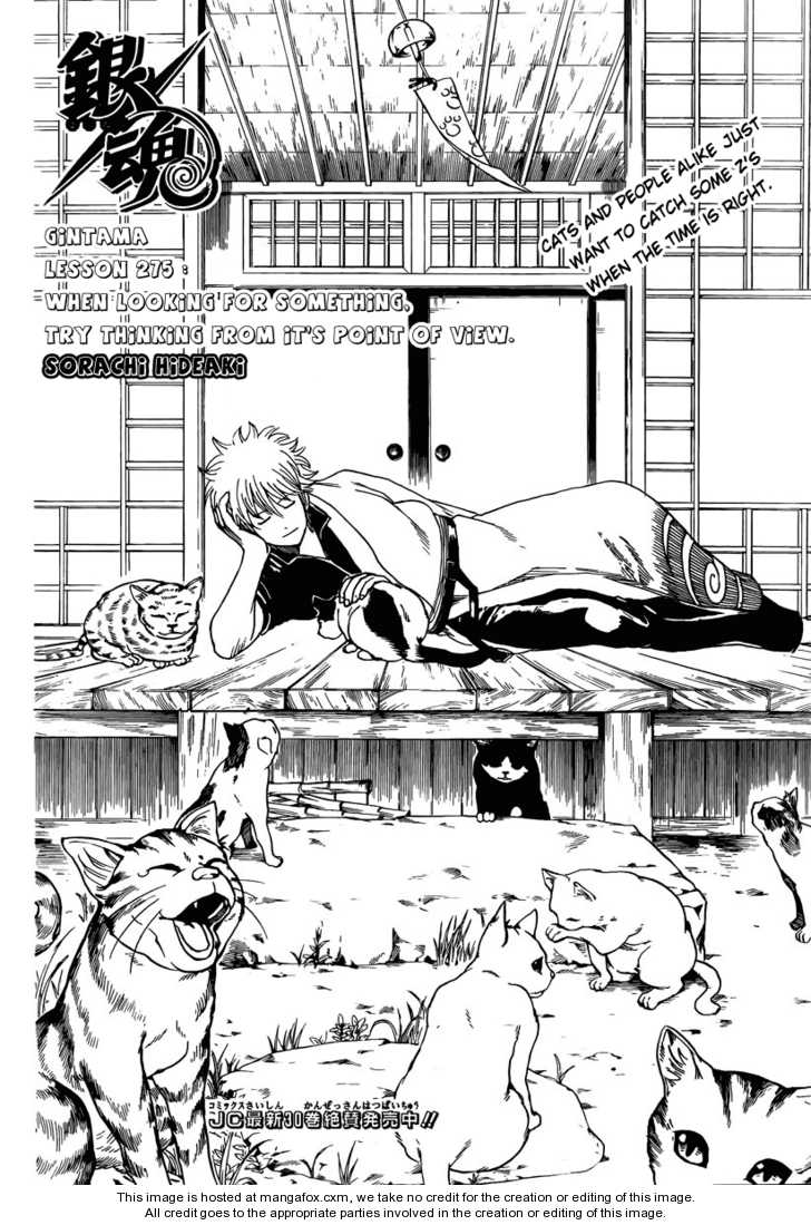 Read Gintama Manga Online