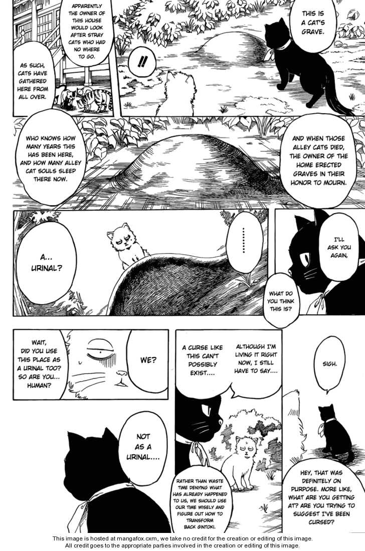 Read Gintama Manga Online