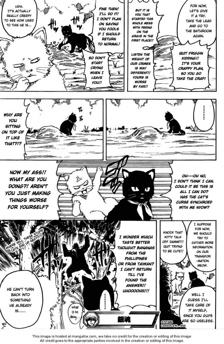 Read Gintama Manga Online