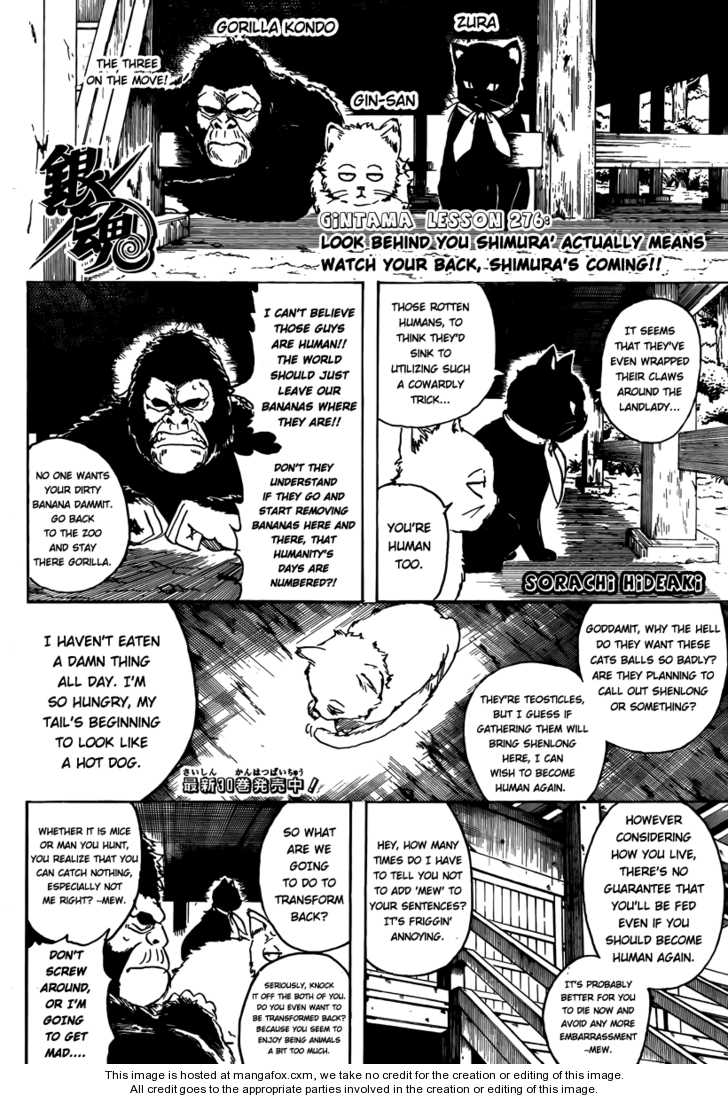 Read Gintama Manga Online
