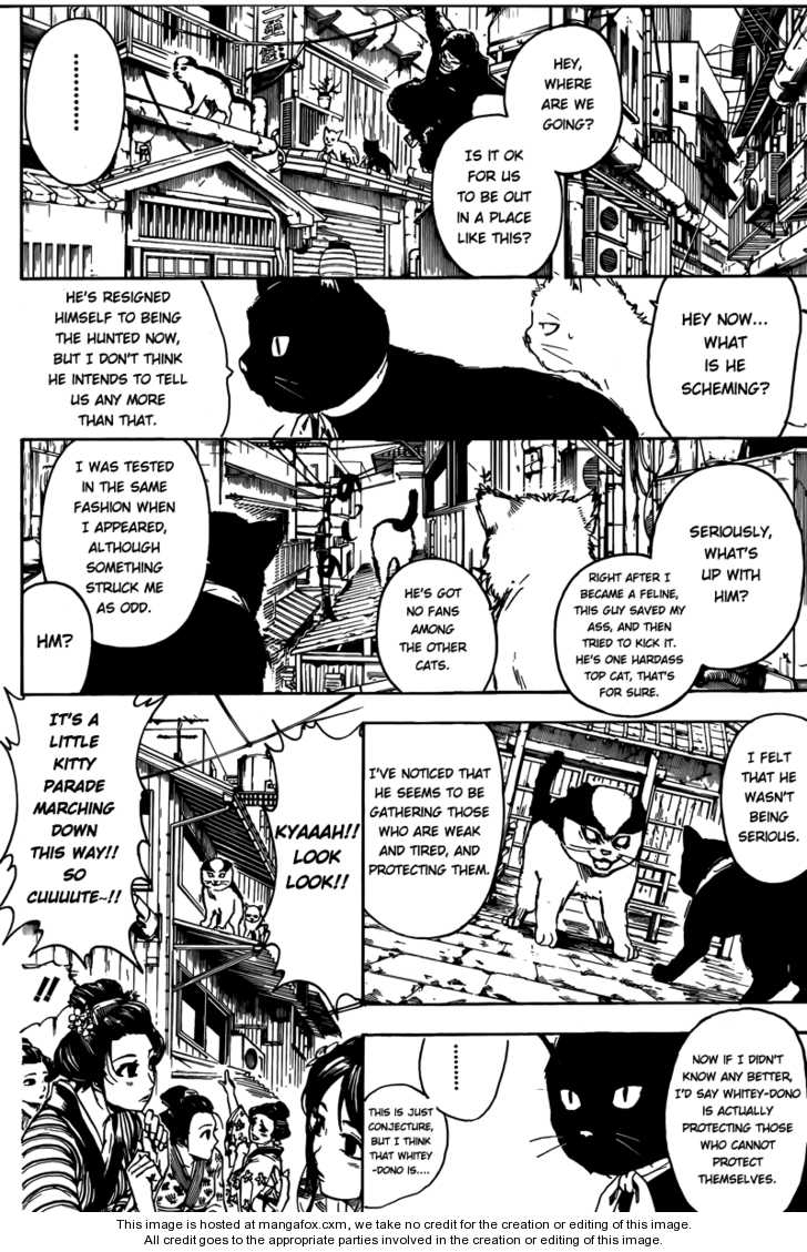Read Gintama Manga Online