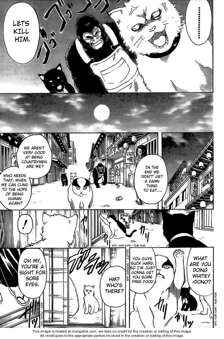 Read Gintama Manga Online