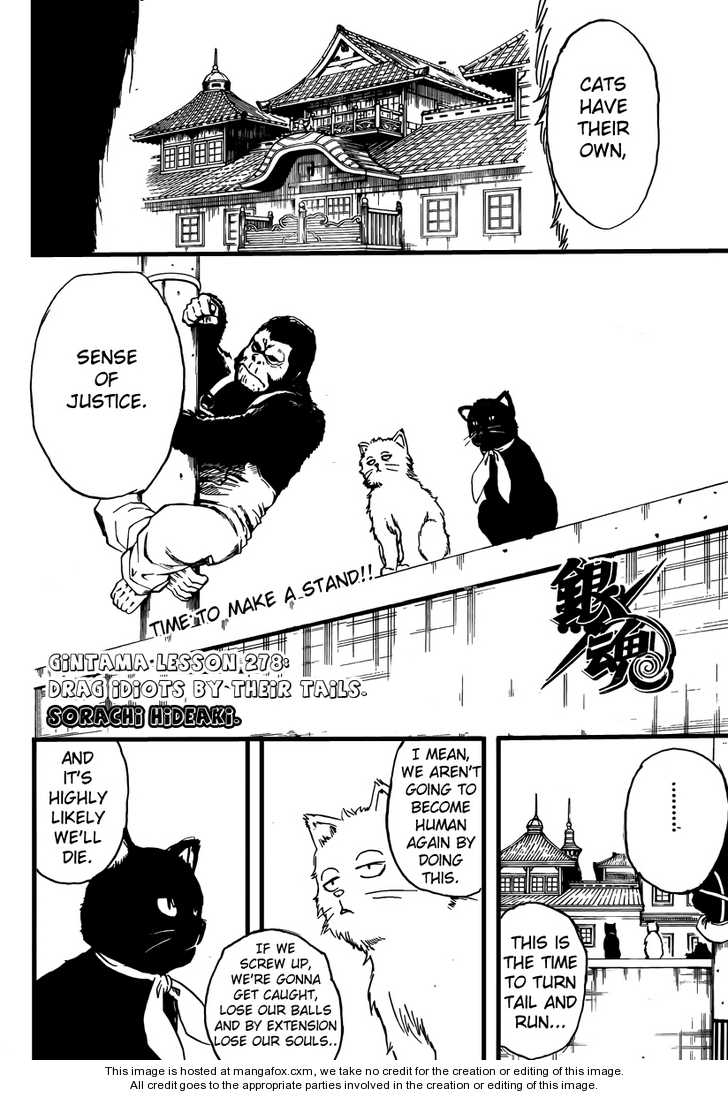 Read Gintama Manga Online