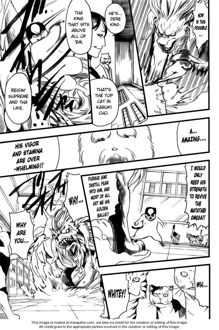 Read Gintama Manga Online