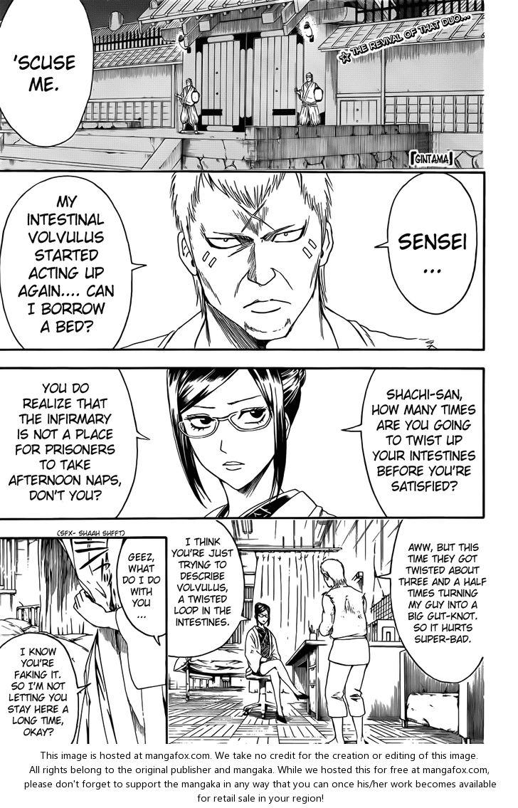 Read Gintama Manga Online