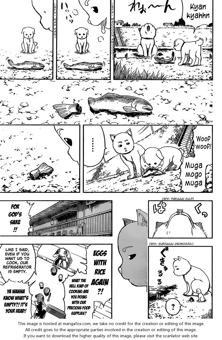 Read Gintama Manga Online