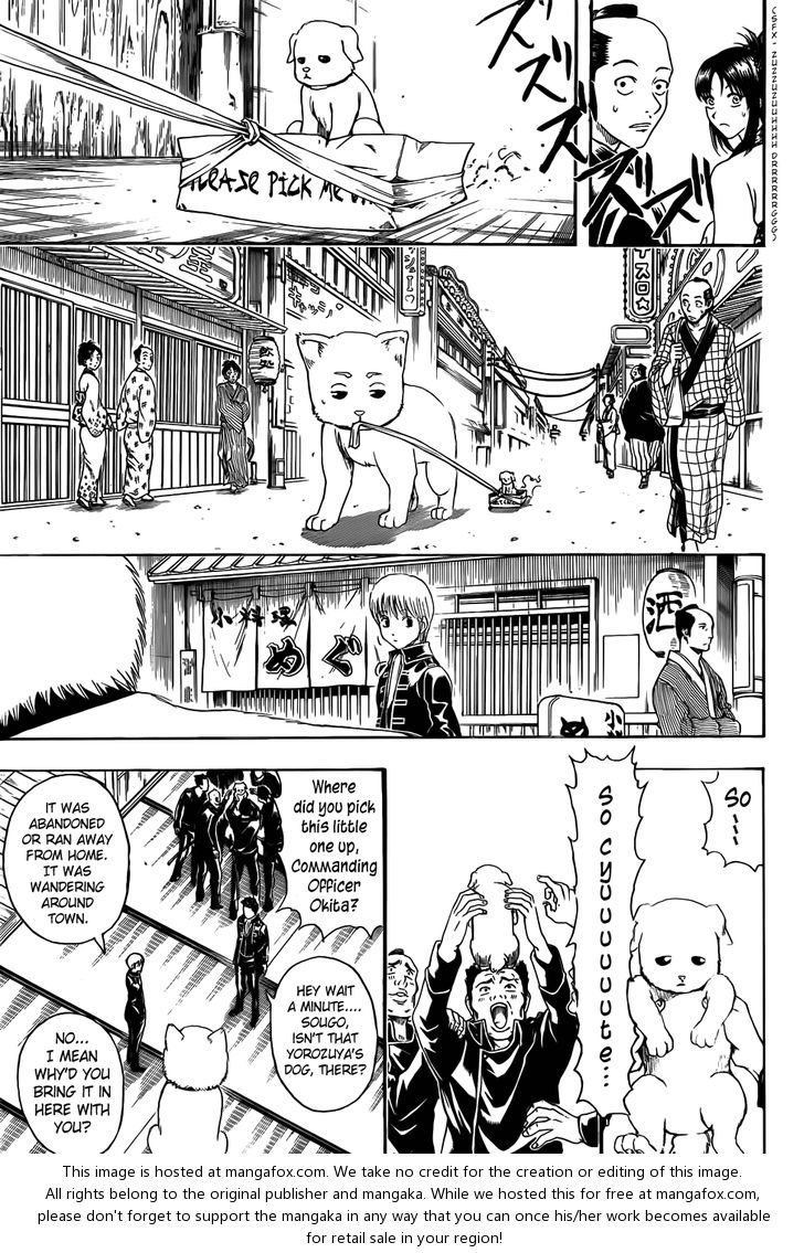 Read Gintama Manga Online