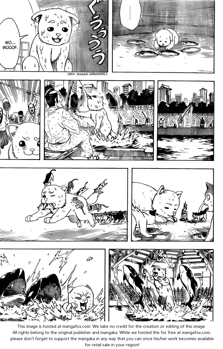 Read Gintama Manga Online