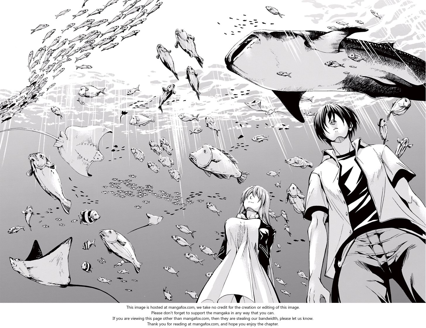 Read Grand Blue Manga Online