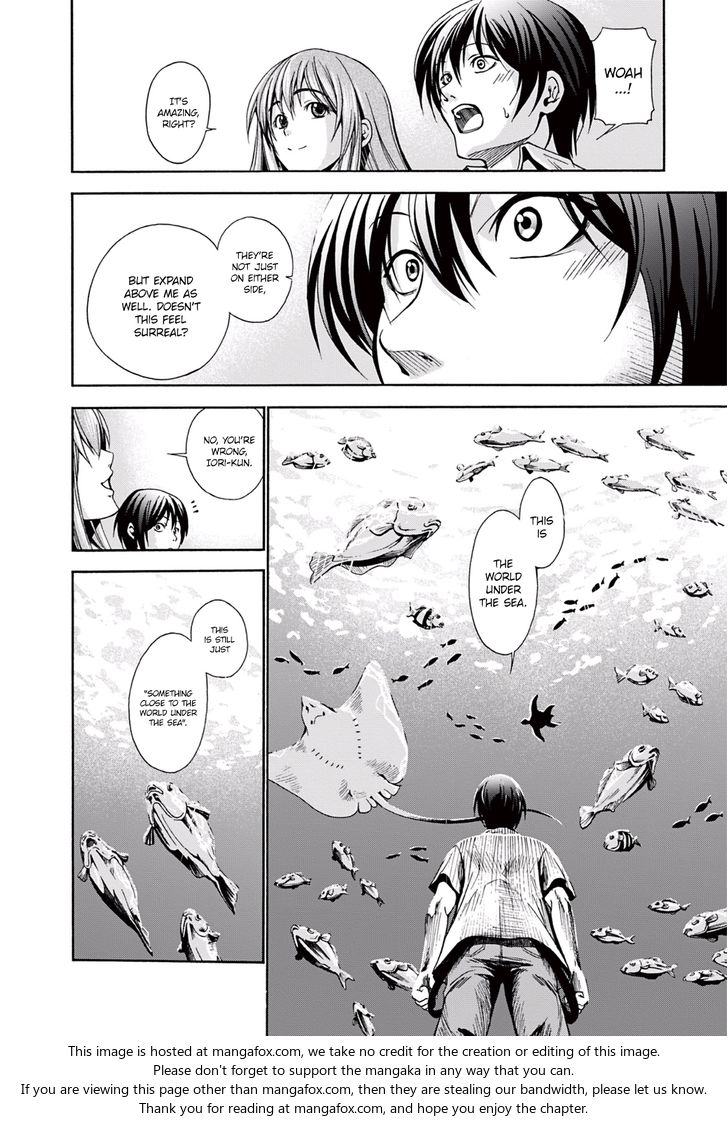 Read Grand Blue Manga Online