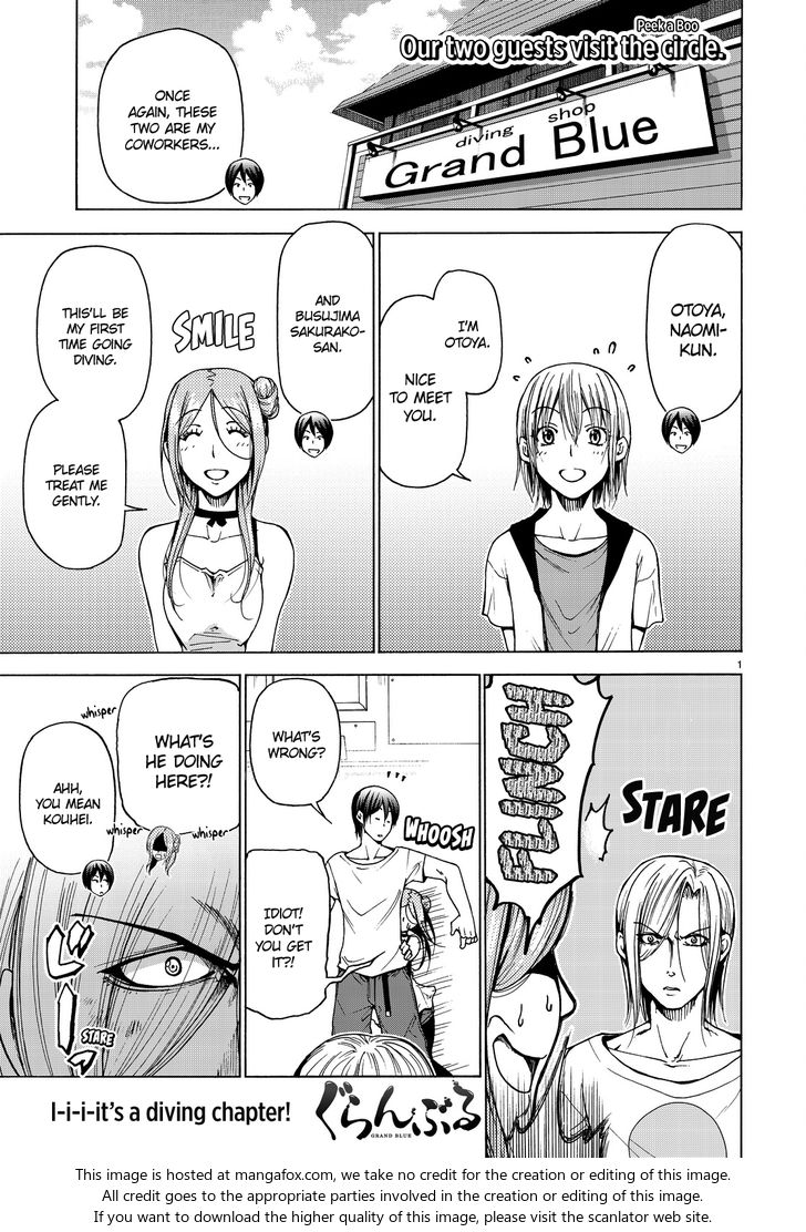 Read Grand Blue Manga Online