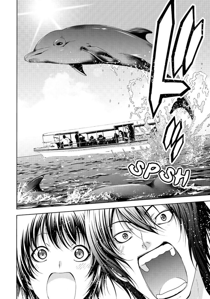 Read Grand Blue Manga Online