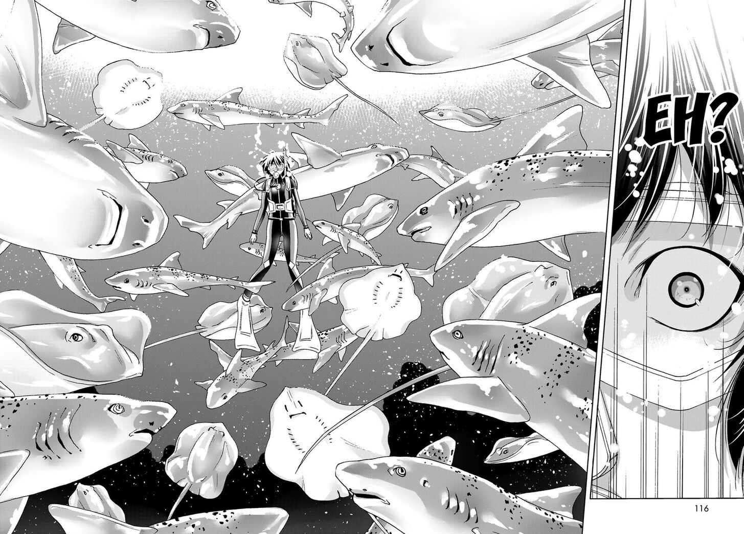 Read Grand Blue Manga Online