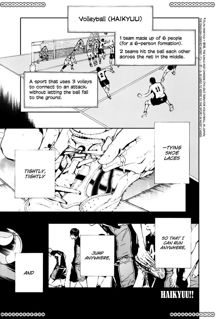 Read Haikyuu!! Manga Online