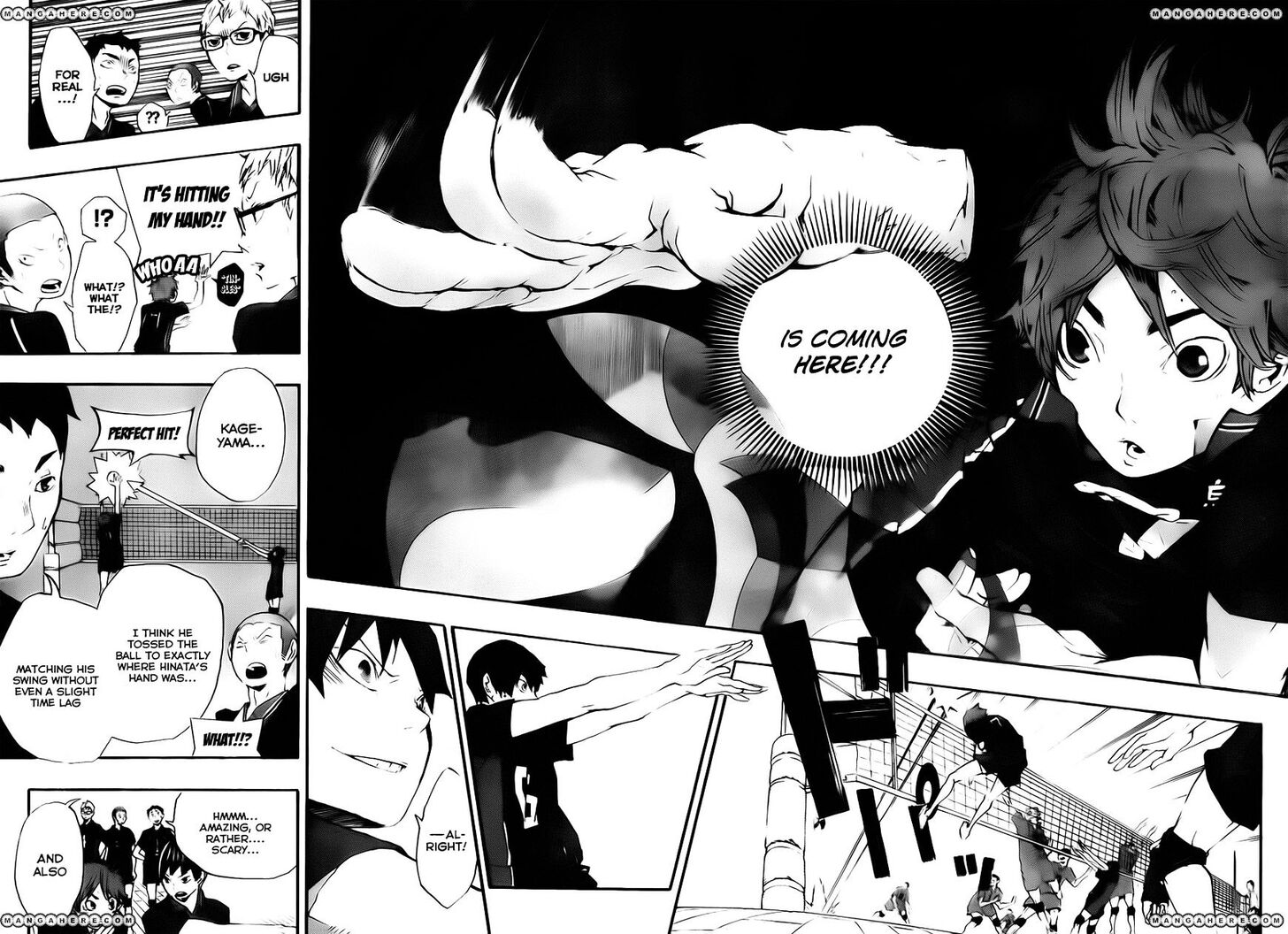 Read Haikyuu!! Manga Online