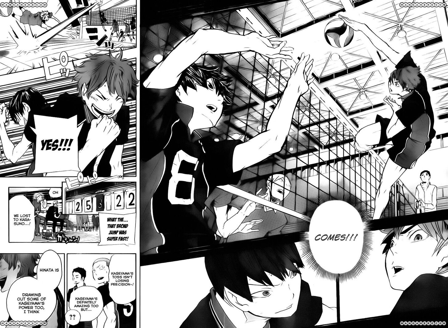 Read Haikyuu!! Manga Online