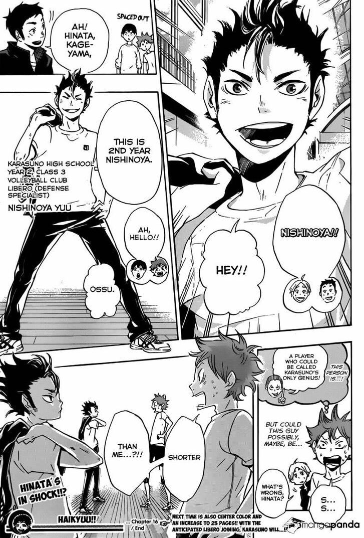 Read Haikyuu!! Manga Online