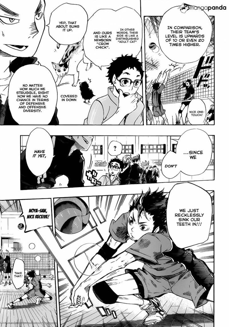 Read Haikyuu!! Manga Online