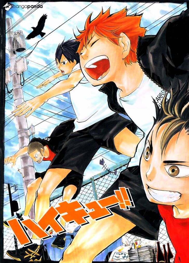 Read Haikyuu!! Manga Online