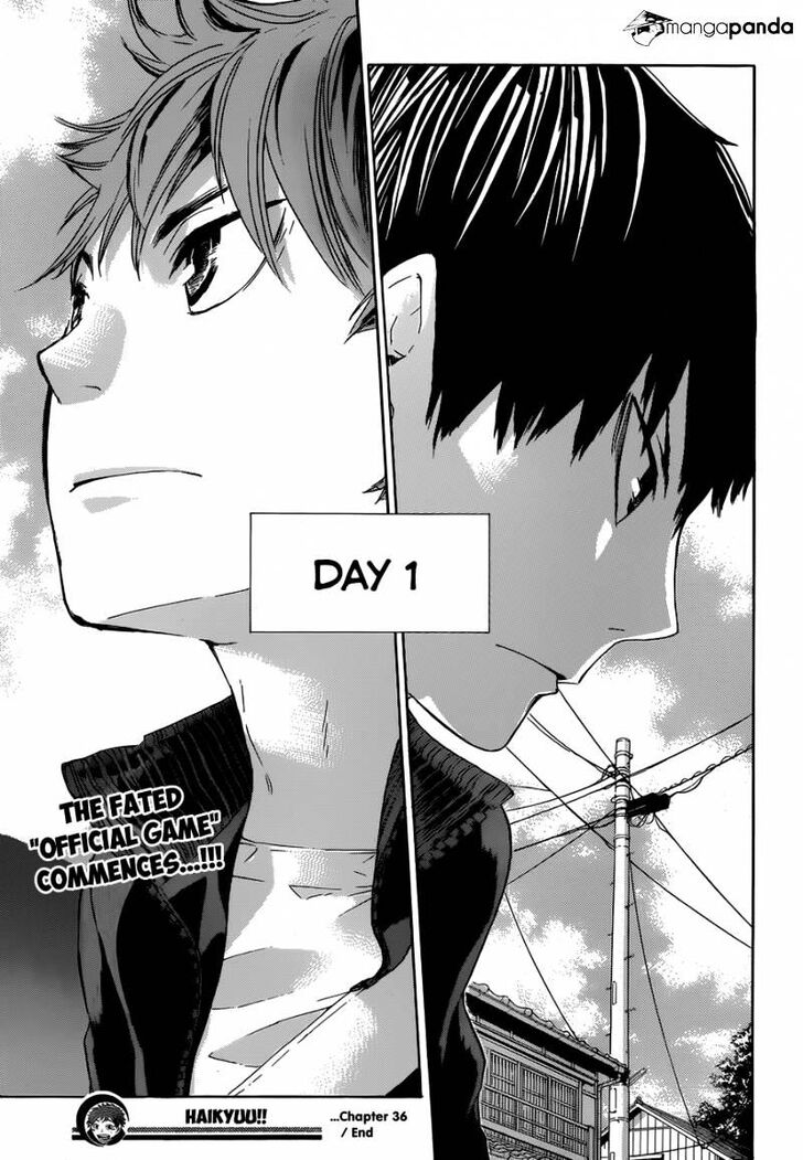 Read Haikyuu!! Manga Online